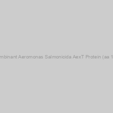 Image of Recombinant Aeromonas Salmonicida AexT Protein (aa 1-475)